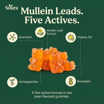 Mullein Gummies